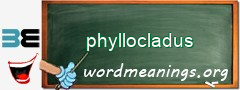 WordMeaning blackboard for phyllocladus